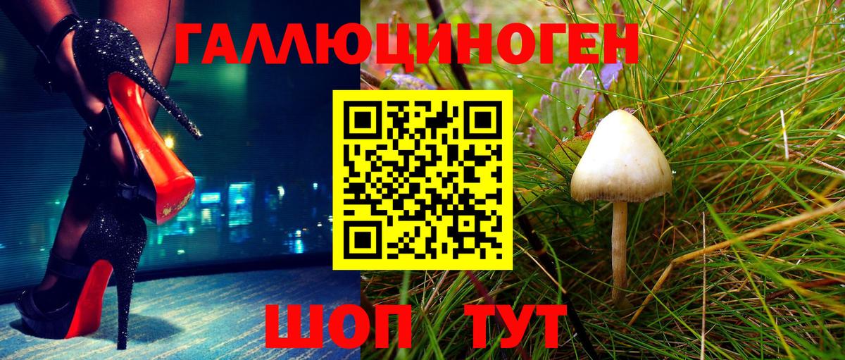 Галлюциногенные грибы мицелий  Вход с VPN  Галлюциногенные грибы прущие грибы  Киселёвск 